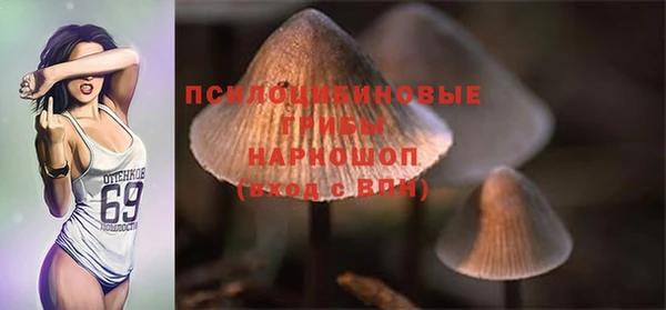 винт Бородино