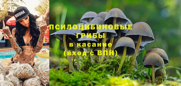 спиды Володарск