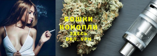 винт Бородино